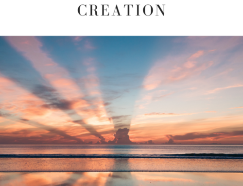 Resurrection and the Renewal of Creation