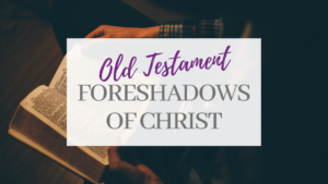 NT Wright Online Old Testament Foreshadows of Christ Certification